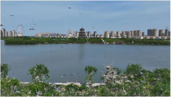 走近美丽河湖 ｜ 菏泽：文亭湖(图1)