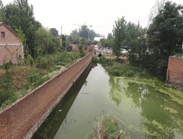走近美丽河湖 ｜ 菏泽：文亭湖(图2)
