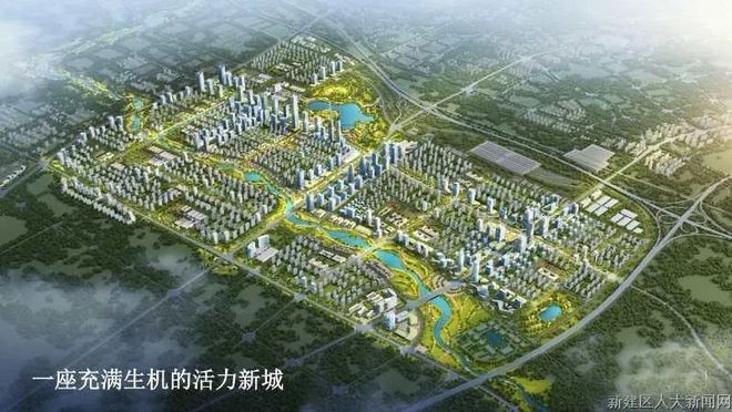 这座新城又有大项目！即将开启招标！(图1)