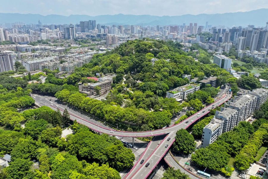“一棵树”如何植绿“千园之城”？(图1)