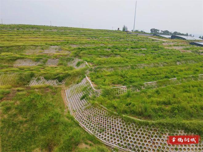 济南钢城区:治理小流域 保护大生态(图1)