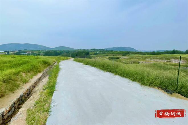 济南钢城区:治理小流域 保护大生态(图4)