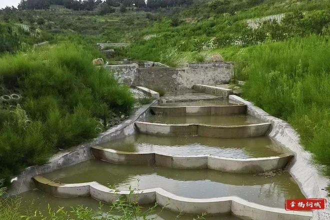 济南钢城区:治理小流域 保护大生态(图2)