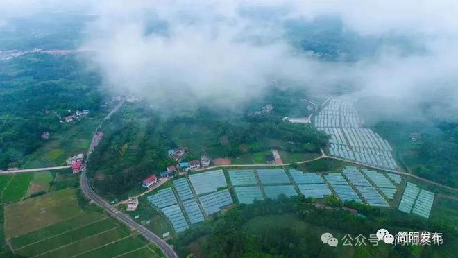 联网贯通农业供水“新脉络” 注入乡村振兴“水动能”(图5)