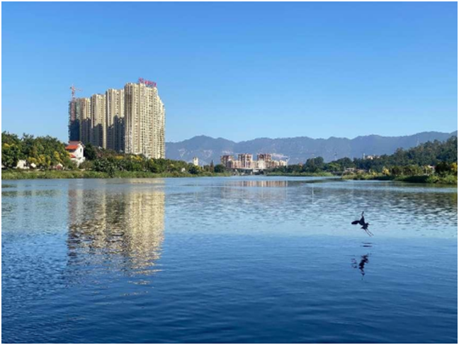 护木兰溪水脉绘仙游生态韵城新画卷(图1)