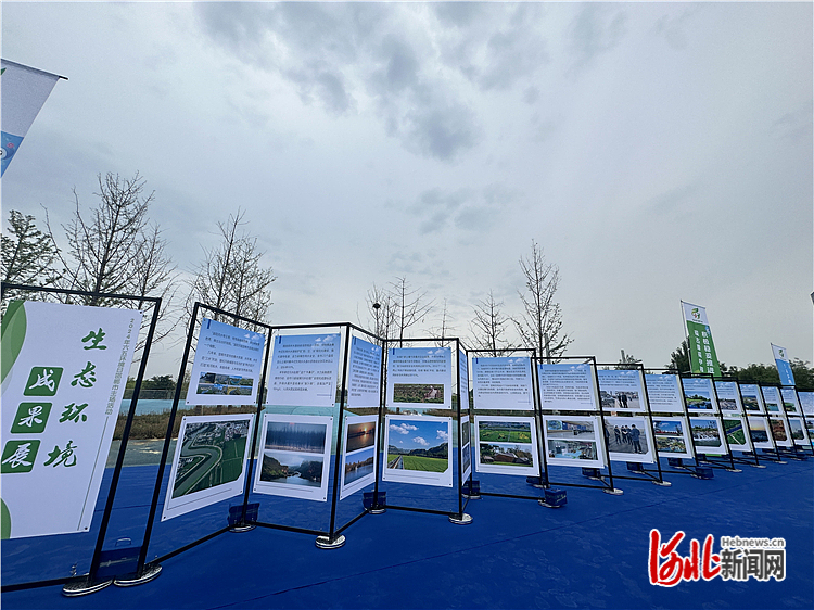 2024感恩奋进勇担当——保定市经济社会发展成果述评