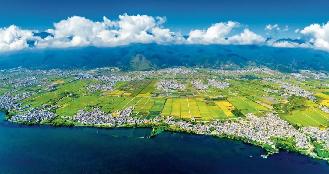 習近平與美麗中國建設丨“一定要把洱海保護好”——雲南省大理州干部群眾訪談錄(图3)