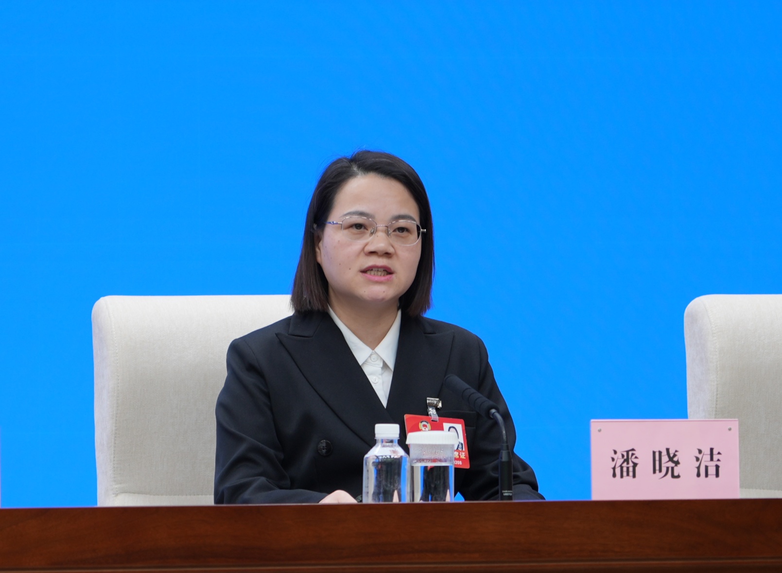 聚焦2025湖北省两会 潘晓洁：进一步强化流域治理 牢牢守住水安全底线(图1)