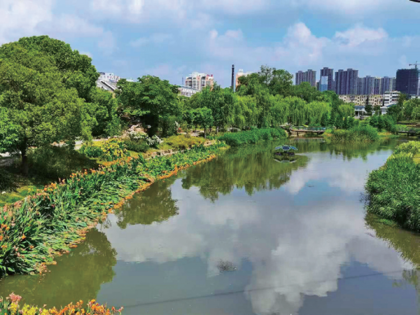 凤台打造“智慧城市”、建设宜居韧性城市工作经验(图5)