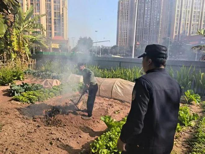 漳州市区这里将打造特色“城市风廊”(图6)
