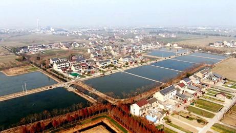 泰兴市滨江镇西江村：小流域里大变化(图1)