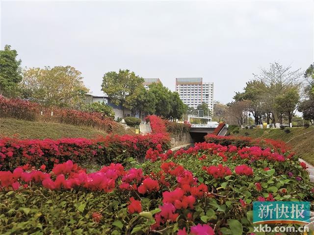 天河“河湖长+检察长” 绣出护水“火眼金睛”(图2)