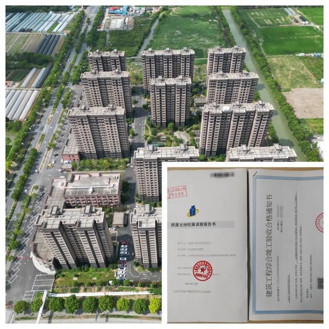 金山区房地产交易中心测绘技术成果管理科荣获“2024年度金山区优化营商环境‘金牌店小二’集体”荣誉称号(图3)