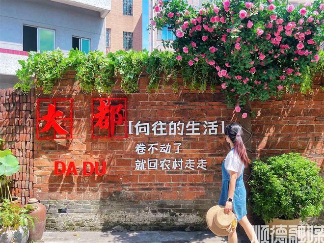 区长访谈丨吕园园：二次创业再出发为“再造一个新佛山”贡献更多“顺德力量”(图5)