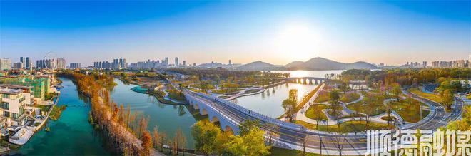 区长访谈丨吕园园：二次创业再出发为“再造一个新佛山”贡献更多“顺德力量”(图6)