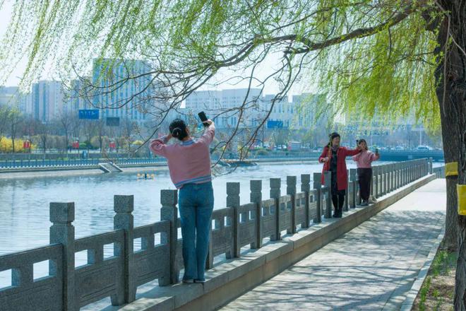 全国唯一！全国最大！福运武清都市农业公园！(图4)
