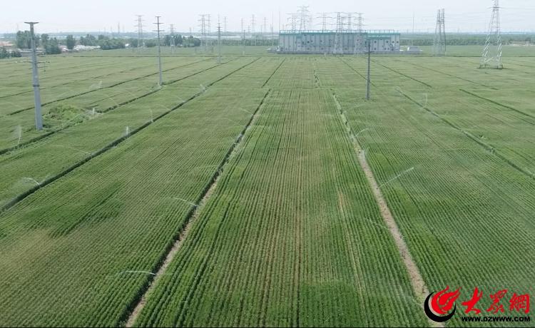 奋进潍坊·开新局丨强治理 守安全 惠民生 以水为笔绘就2025奋进新篇章(图3)