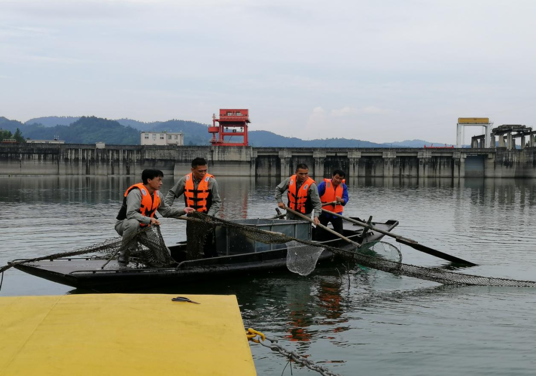 习近平总书记关切事丨南水北上 十年印记(图16)