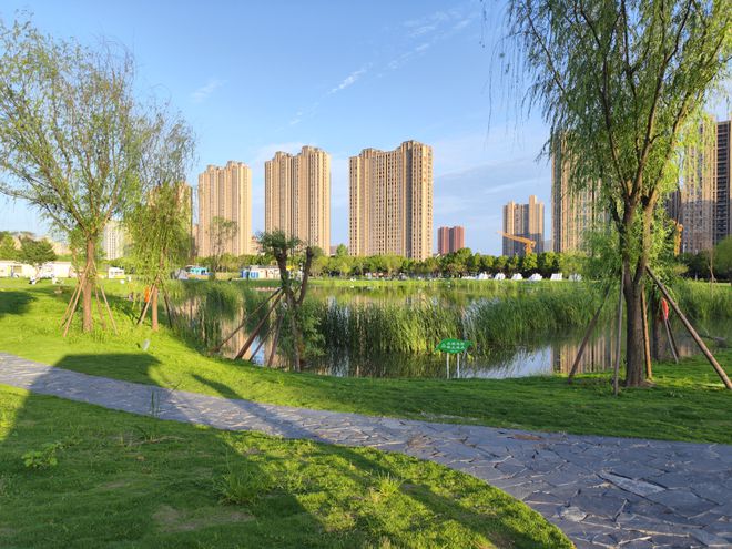 让城市生活更美好 信阳城市管理2024年“奋斗足迹”(图1)