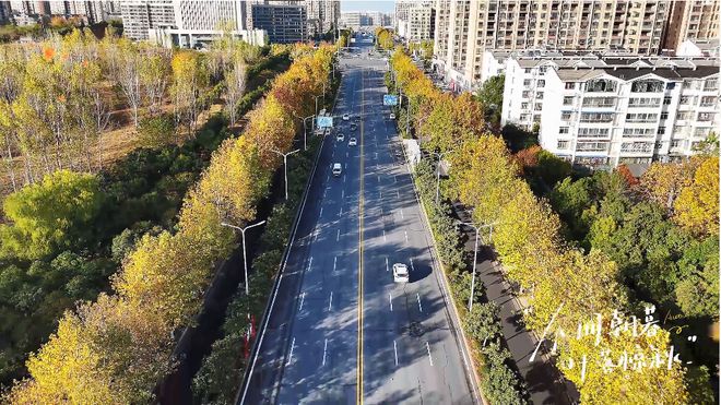 让城市生活更美好 信阳城市管理2024年“奋斗足迹”(图10)