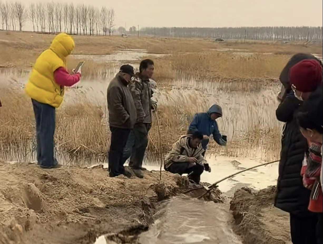 西辽河干流实现全线过流书写生态复苏新篇章(图5)