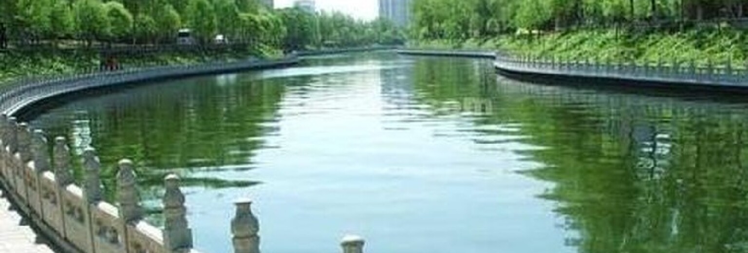 党建统领 “六区”聚力｜④山水之城绘就超大城市治理新画卷