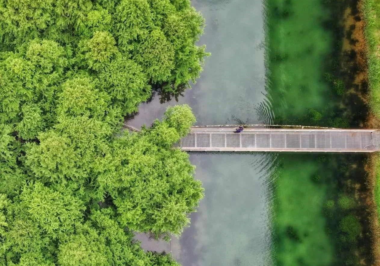 三峡集团主旋“绿”的N种打开方式：藏在长江边的创新密码(图3)