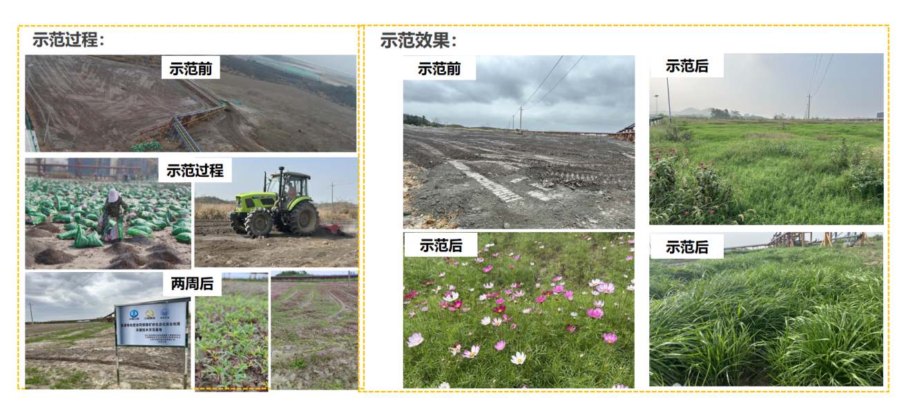 三峡集团主旋“绿”的N种打开方式：藏在长江边的创新密码(图4)