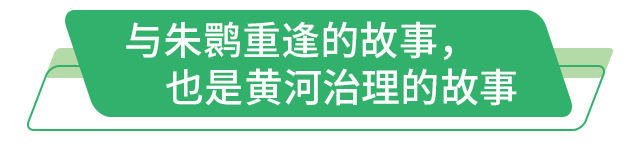 走在前 挑大梁丨听！保护与发展的潮声在黄河入海口共鸣(图1)