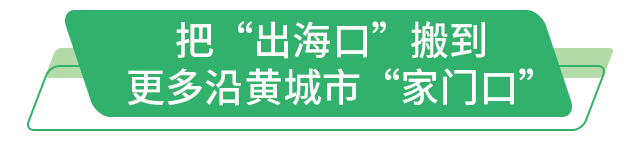 走在前 挑大梁丨听！保护与发展的潮声在黄河入海口共鸣(图6)