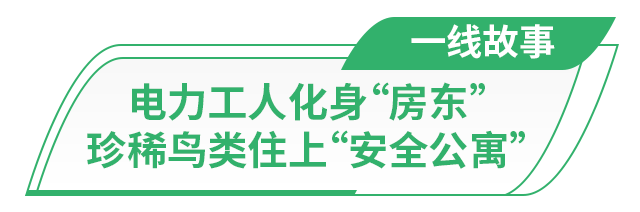 走在前 挑大梁丨听！保护与发展的潮声在黄河入海口共鸣(图7)