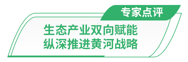 走在前 挑大梁丨听！保护与发展的潮声在黄河入海口共鸣(图9)