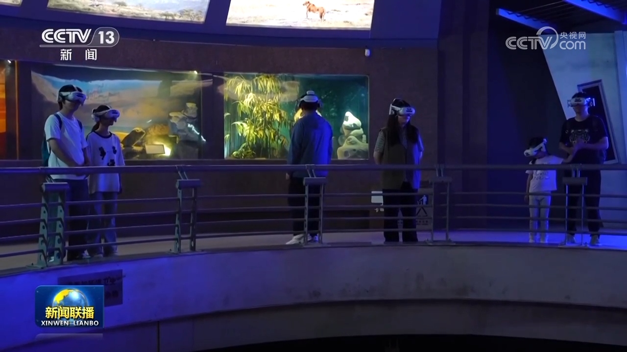 从传统文化创新到重大工程建设 多领域并进绘就高质量发展新图景(图2)