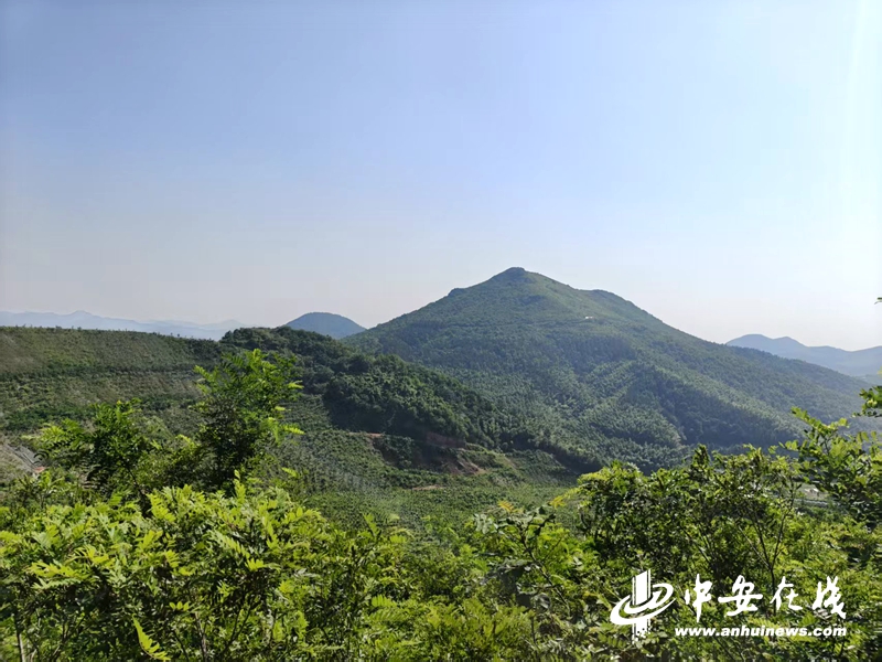 环保世纪行 倾城守护 巢湖生态环境新蝶变(图2)