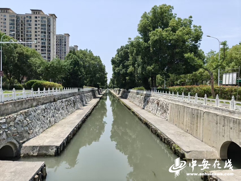 环保世纪行 倾城守护 巢湖生态环境新蝶变(图3)