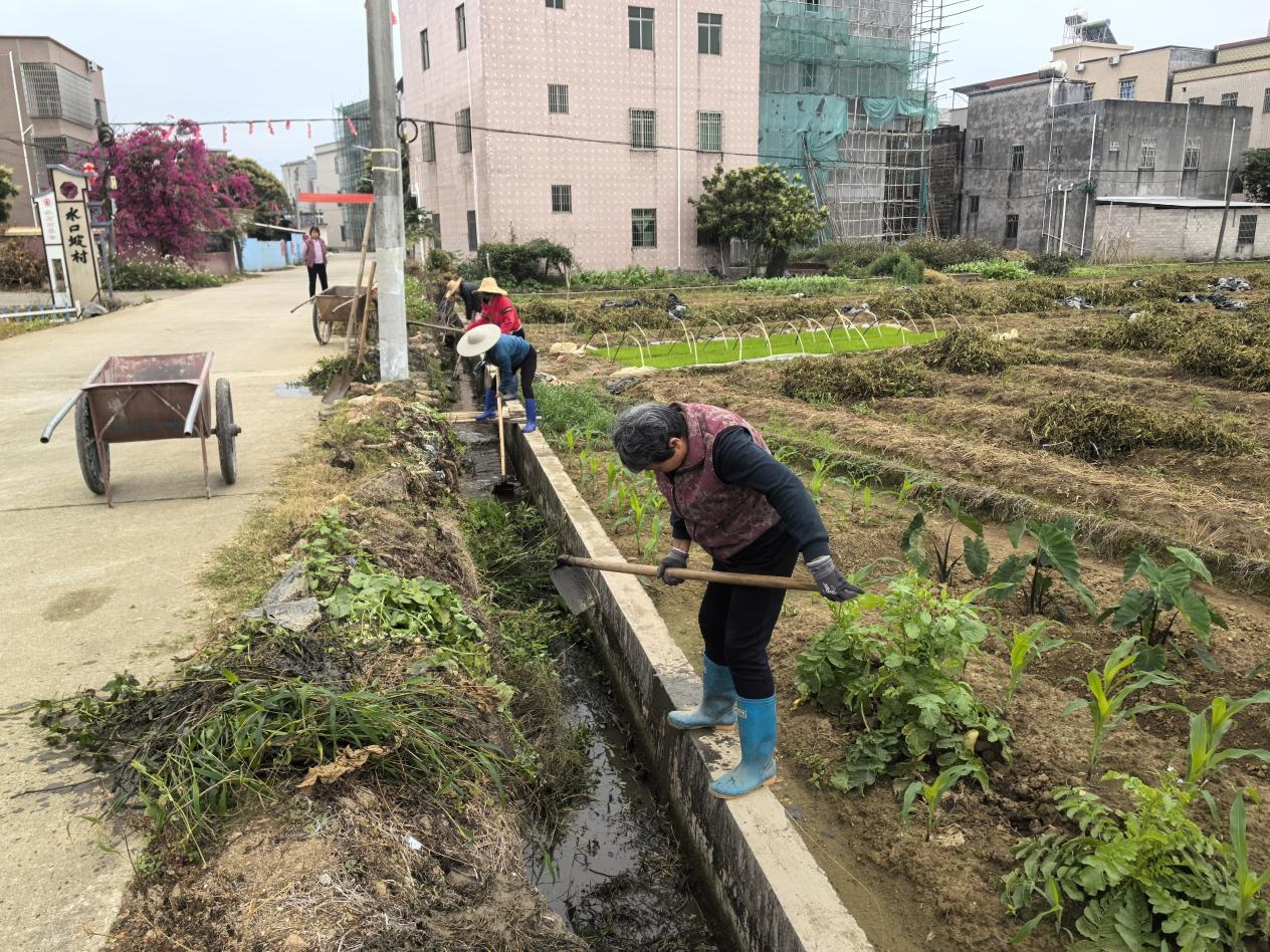 广东两轮清淤破亿方 水塘河道旧貌换新颜(图3)