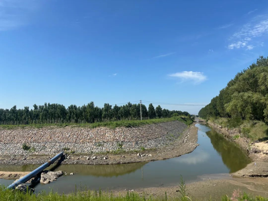康平县八家子河：加固河道防线 筑牢汛期安全堤(图1)