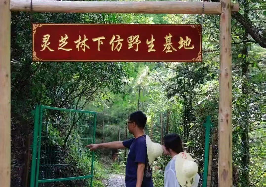 清源：水系治理结硕果 移民新村焕新生(图4)
