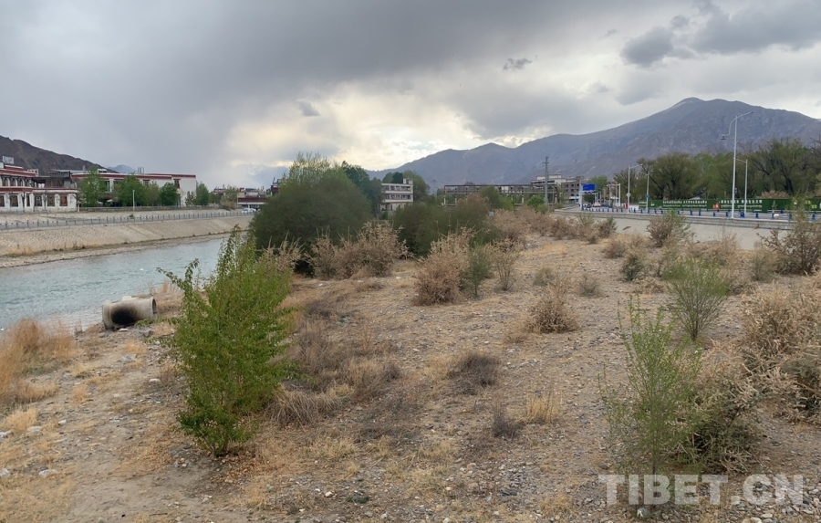 辉煌60年·我们的家园｜昔日荒滩变身美景 拉萨的诗意写在绿水青山间(图2)