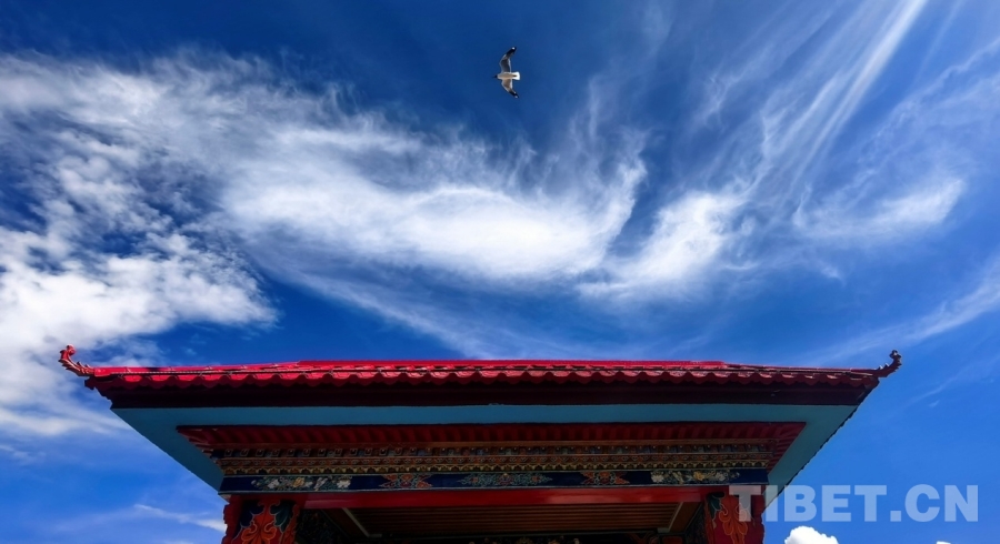 辉煌60年·我们的家园｜昔日荒滩变身美景 拉萨的诗意写在绿水青山间(图5)