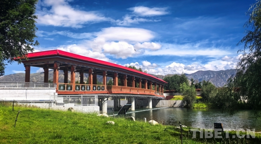 辉煌60年·我们的家园｜昔日荒滩变身美景 拉萨的诗意写在绿水青山间(图12)