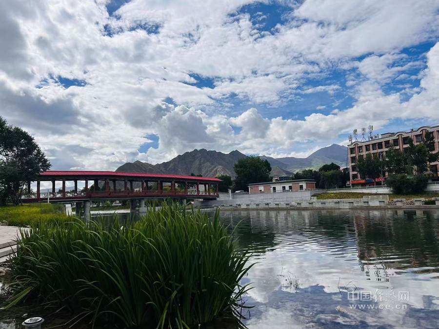 辉煌60年·我们的家园｜河山锦绣 拉萨全面构建绿水青山新图景(图2)