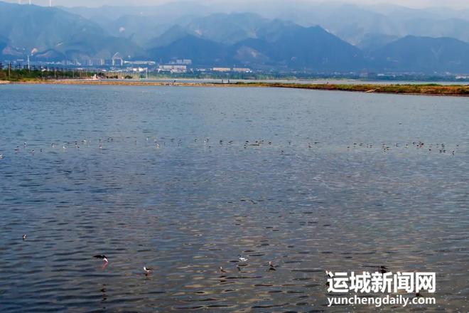 运城：河湖蝶变 幸福奔涌(图10)