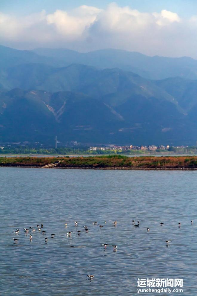 运城：河湖蝶变 幸福奔涌(图21)