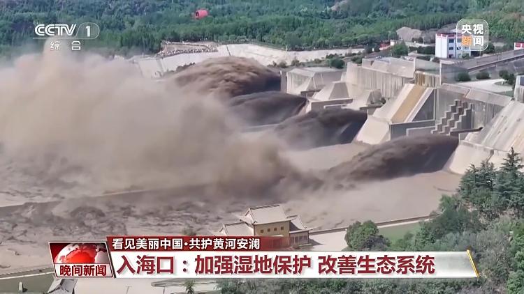 看见美丽中国丨把断流之痛化作生态之美 母亲河生态蜕变向“绿”而行(图16)