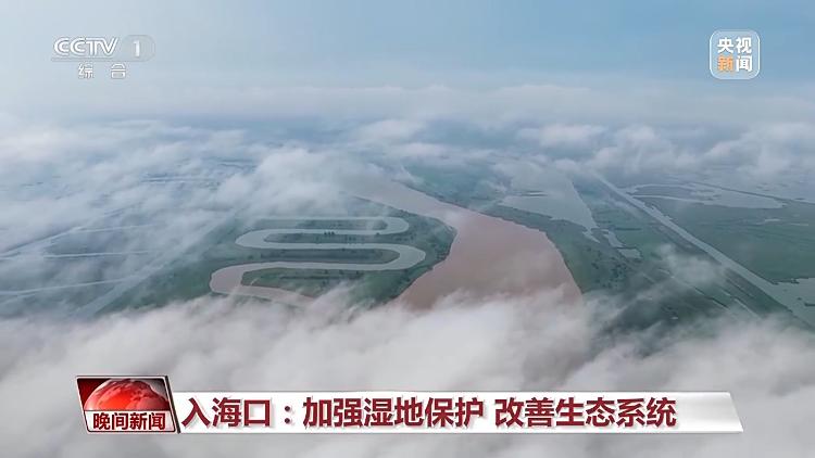看见美丽中国丨把断流之痛化作生态之美 母亲河生态蜕变向“绿”而行(图17)