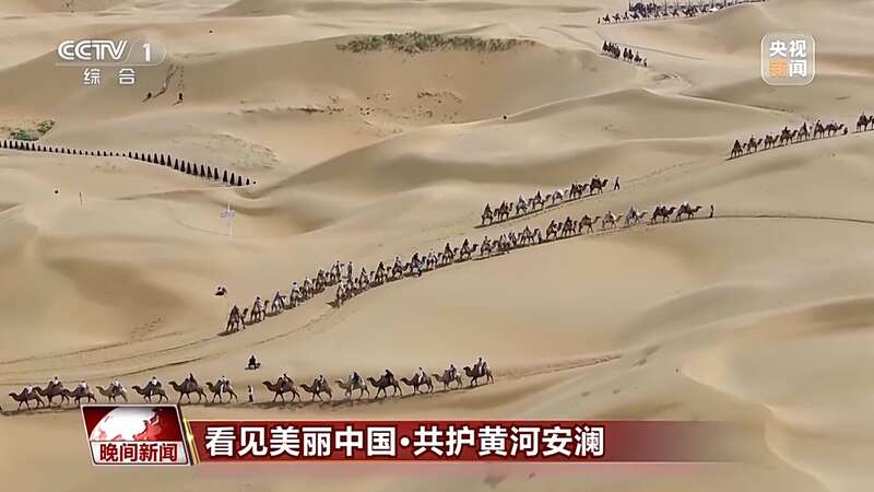 把断流之痛化作生态之美 母亲河生态蜕变向“绿”而行(图5)