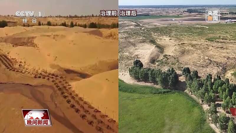 把断流之痛化作生态之美 母亲河生态蜕变向“绿”而行(图6)