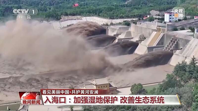 把断流之痛化作生态之美 母亲河生态蜕变向“绿”而行(图16)
