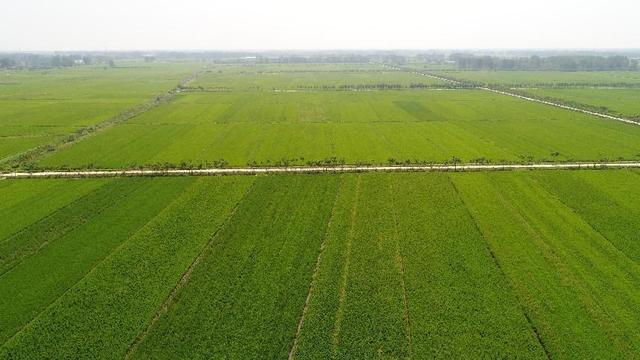 息县：全域整治绘新景 城乡融合展新颜(图1)